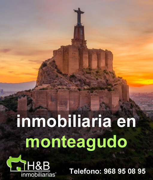 Inmobiliaria en Monteagudo Murcia